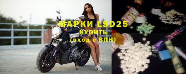 ГАЛЛЮЦИНОГЕННЫЕ ГРИБЫ Козловка