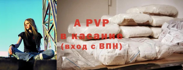 ГАЛЛЮЦИНОГЕННЫЕ ГРИБЫ Козловка