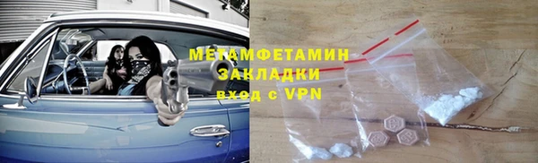 ГАЛЛЮЦИНОГЕННЫЕ ГРИБЫ Козловка