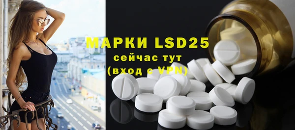 ГАЛЛЮЦИНОГЕННЫЕ ГРИБЫ Козловка