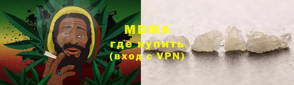 ГАЛЛЮЦИНОГЕННЫЕ ГРИБЫ Козловка