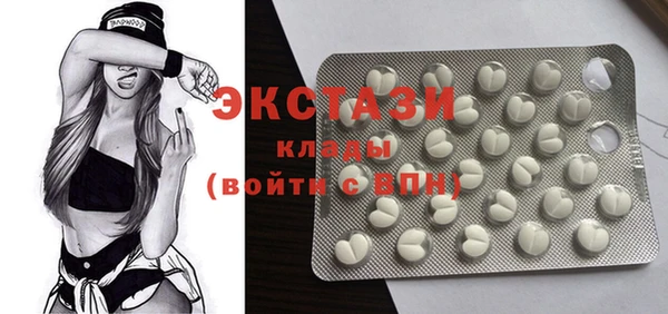 ГАЛЛЮЦИНОГЕННЫЕ ГРИБЫ Козловка